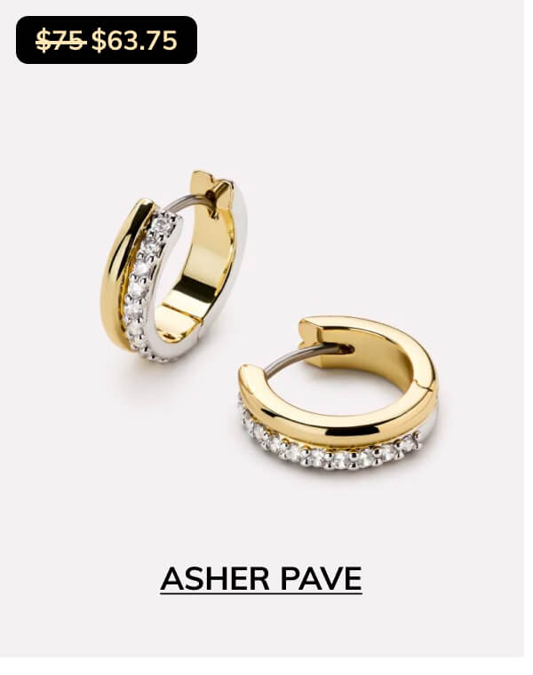 Asher Pave