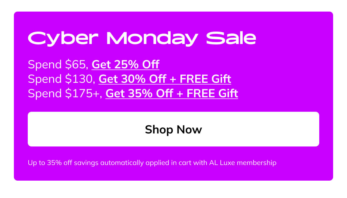 Cyber Monday Sale