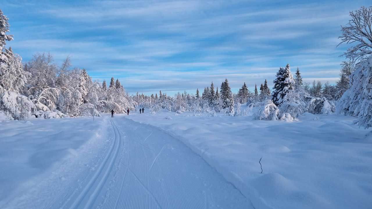 Nytår i sneen – Langrend for alle, Golsfjeldet