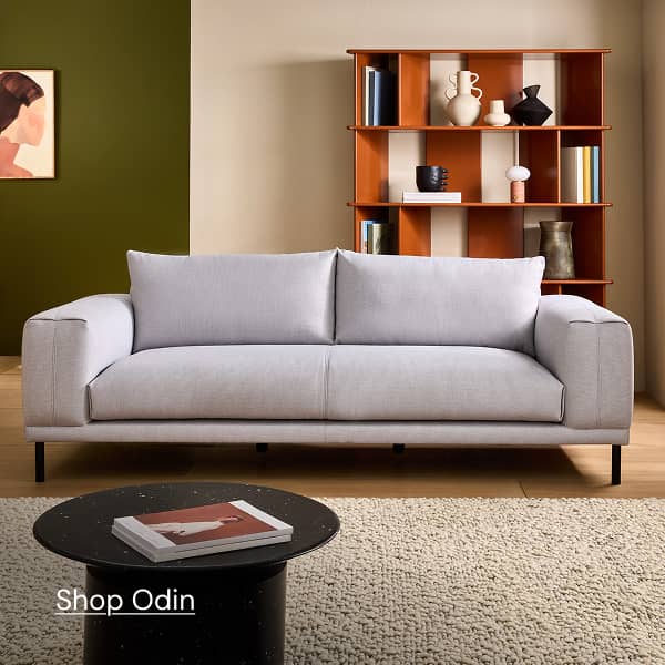 Shop Odin