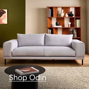 Shop Odin
