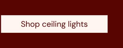 Shop ceiling lights