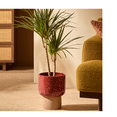 Santiago Plant Pot 