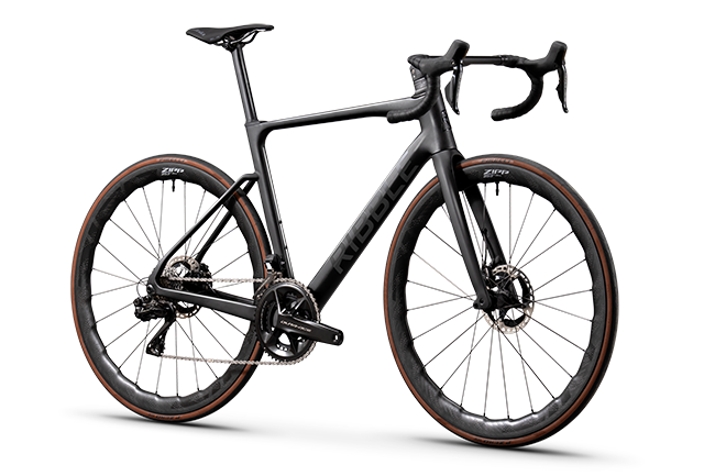 Endurance SL R Disc