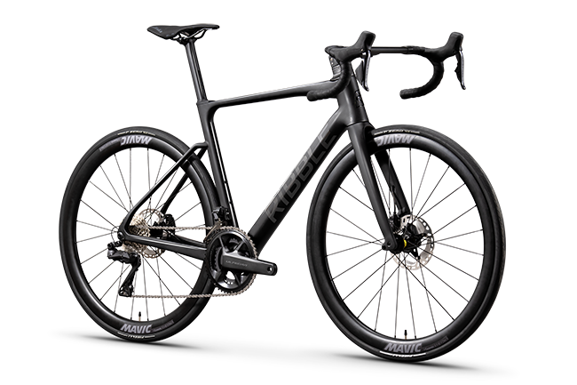 Endurance SL R Disc - Enthusiast