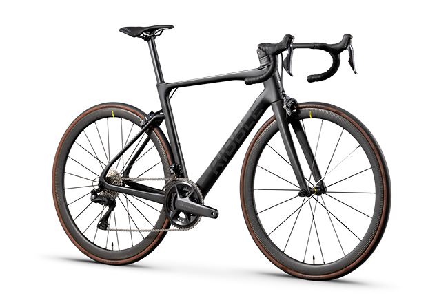 Endurance SL R Enthusiast