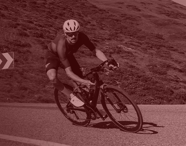 Di2 Sale 