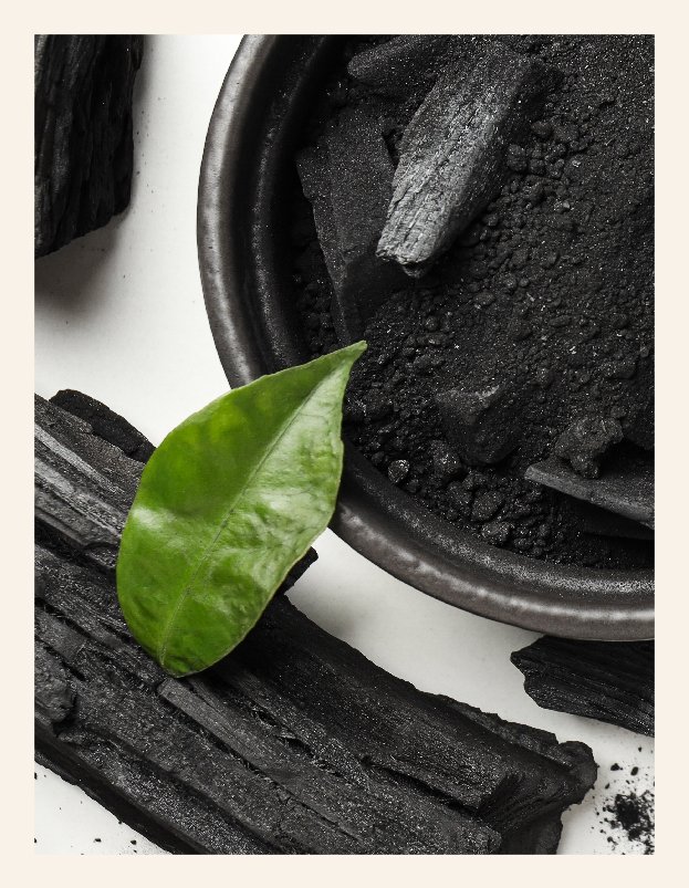 NEW: Ozonated Activated Charcoal - Global Healing