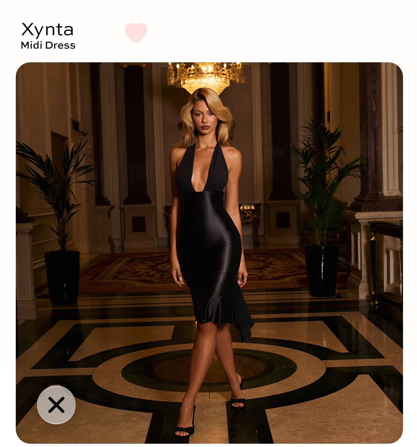 Xynta