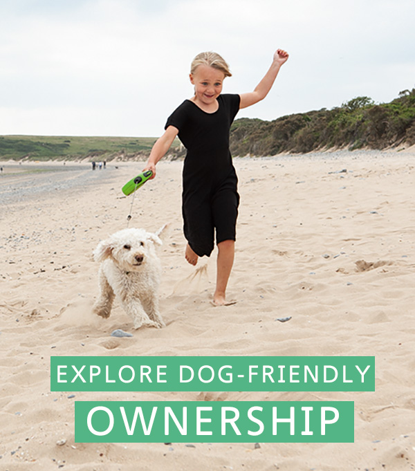 Explore dog-friendly ownership