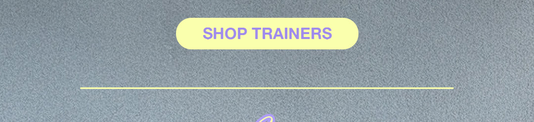 Trainers Copy