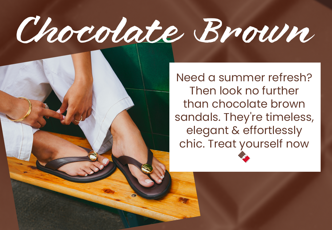 Chocolate Brown Image