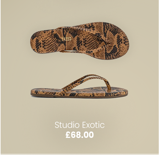 Studio Exotic Image