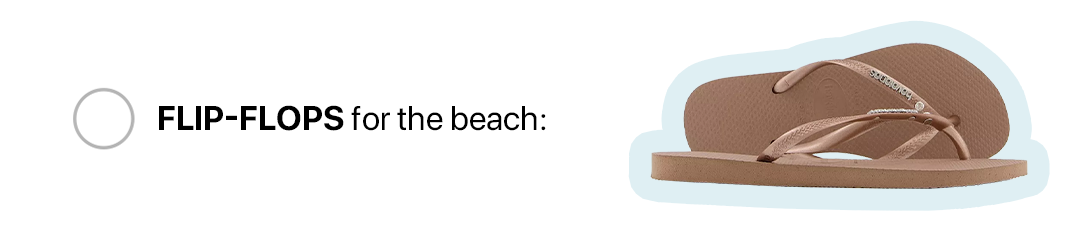 Flip-Flops Image