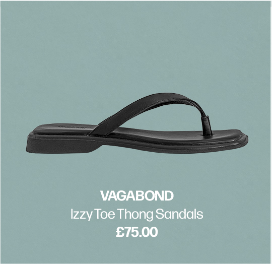 Vagabond Image