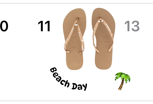 Beach Day Image