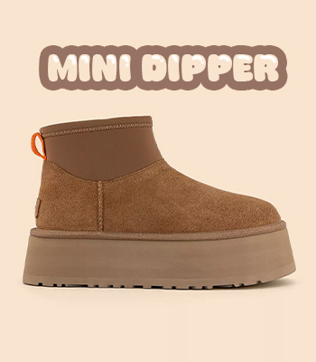 Mini Dipper Image