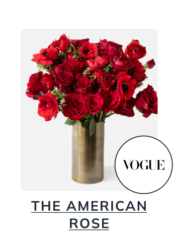 The American Rose 