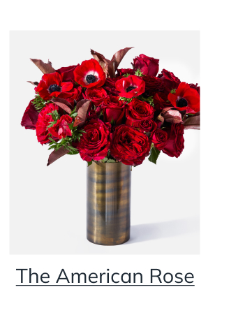 The American Rose 