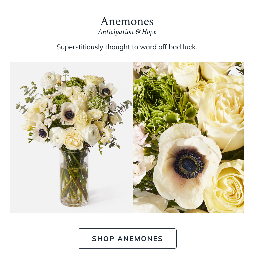 Anemones 