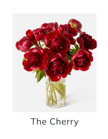 The Cherry