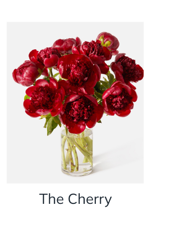 The Cherry