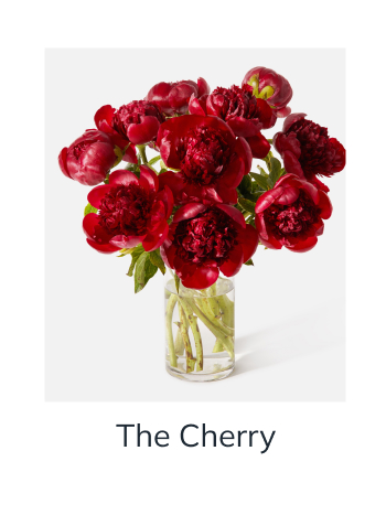 The Cherry