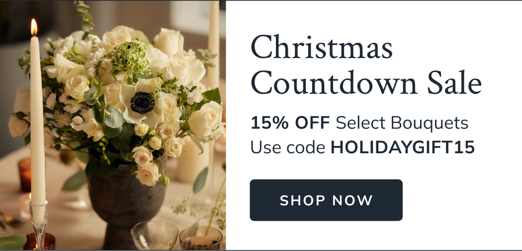 Christmas Countdown Sale