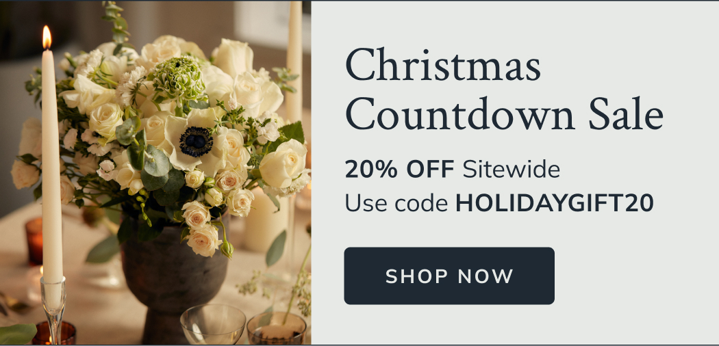 Christmas Countdown Sale