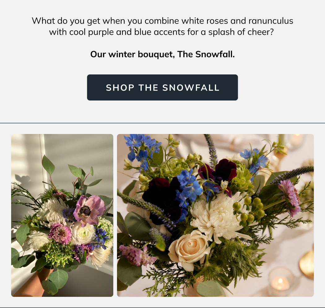 Shop The Snowfall