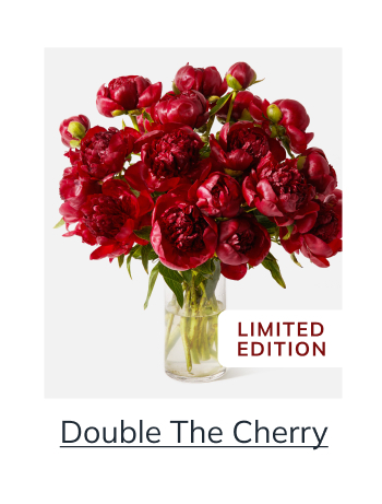 Double The Cherry