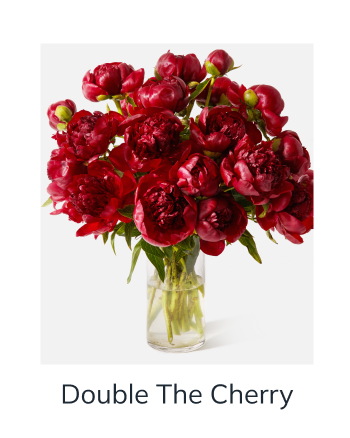 Double The Cherry