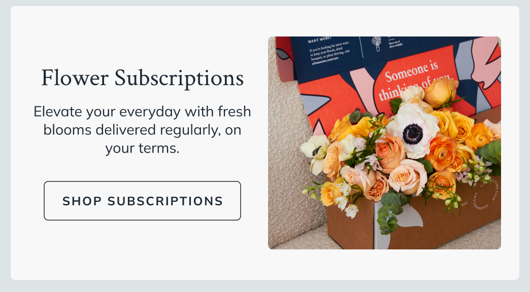 Flower Subscriptions