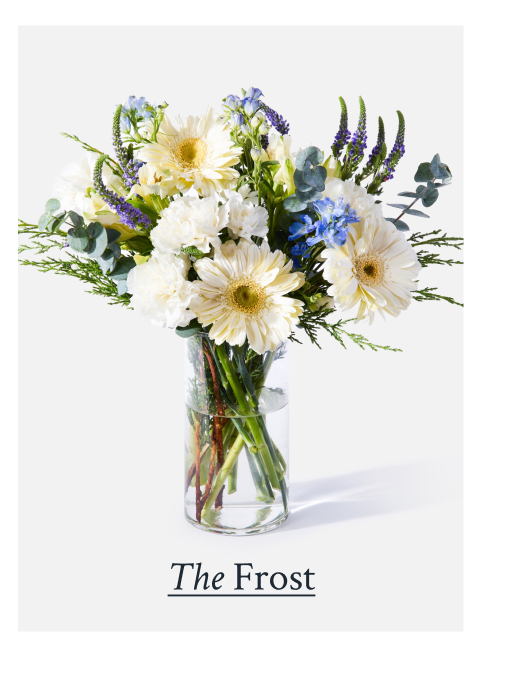 The Frost