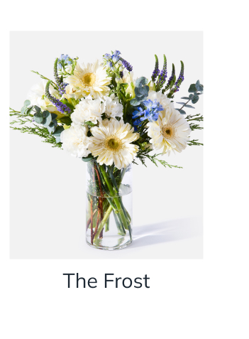 The Frost