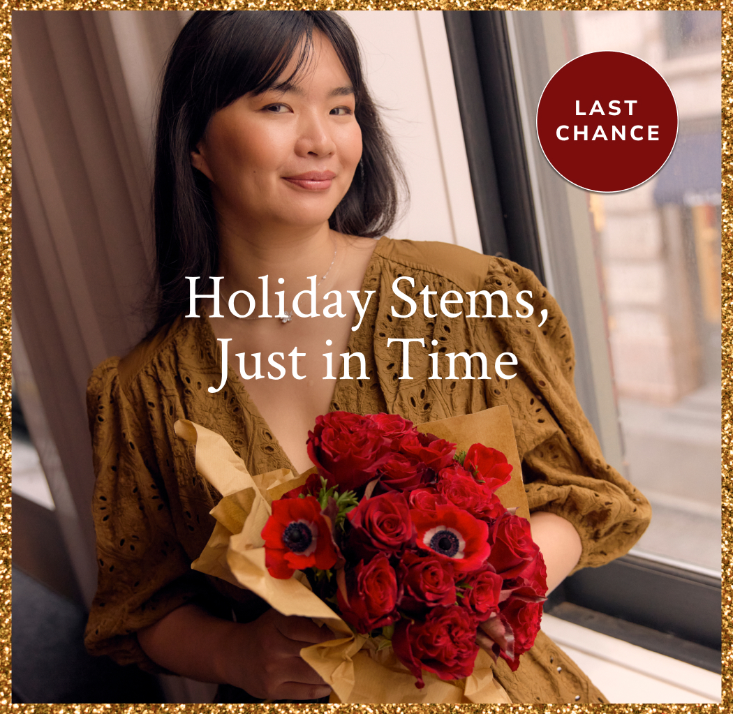 Holiday Stems, Just in Time