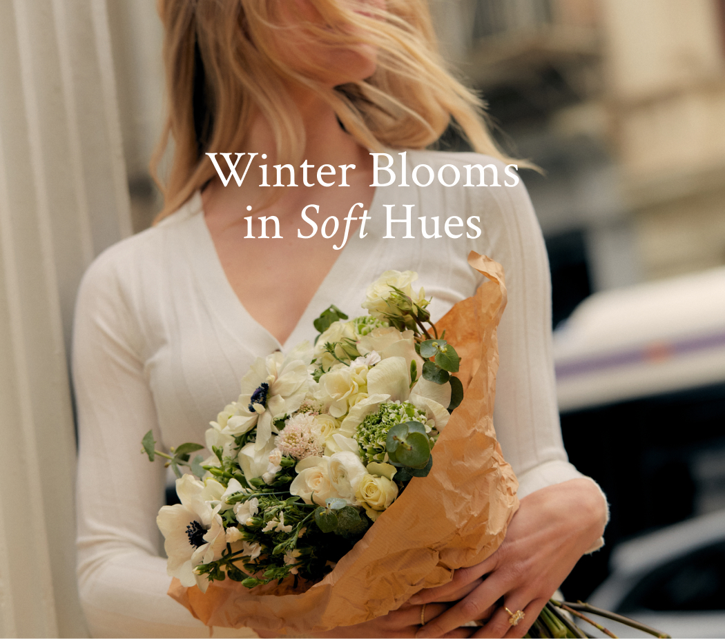 Winter Blooms in Soft Hues 