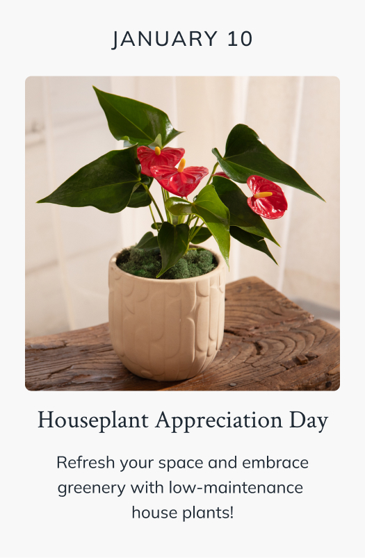 Houseplan Appreciation Day