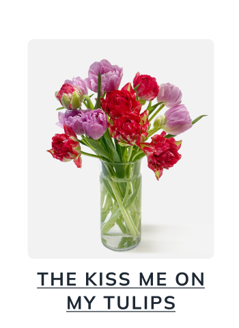 The Kiss Me On my Tulips