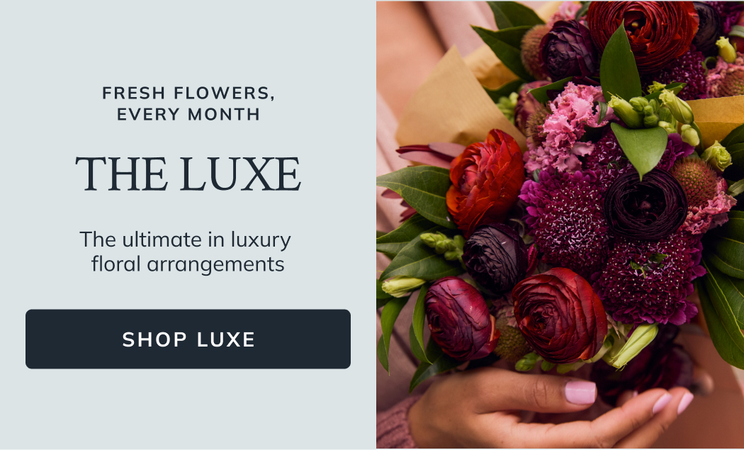 Luxe Subscription