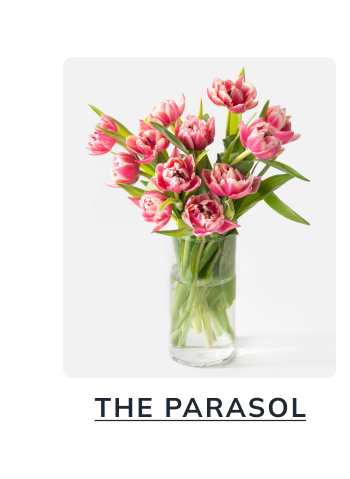 The Parasol