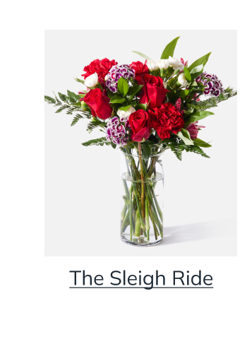 The Sleigh Ride