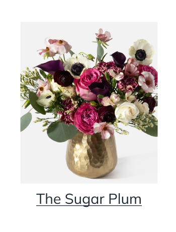 The Sugar Plum