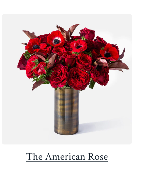 The American Rose 