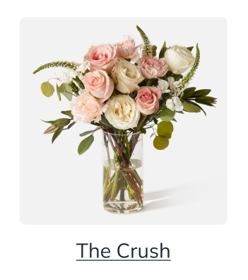 The Crush