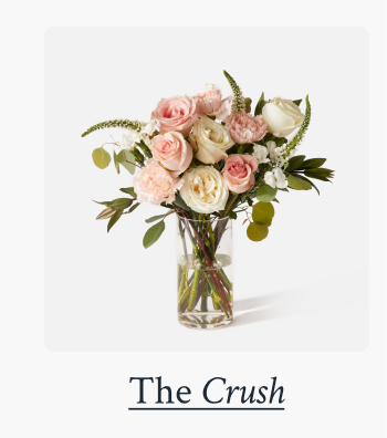 The Crush