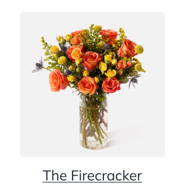 The FIrecracker 