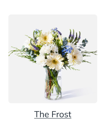 The Frost