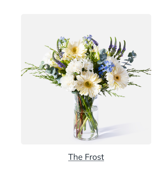 The Frost