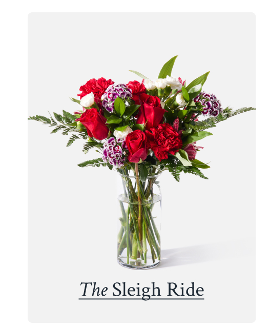 The Sleigh Ride